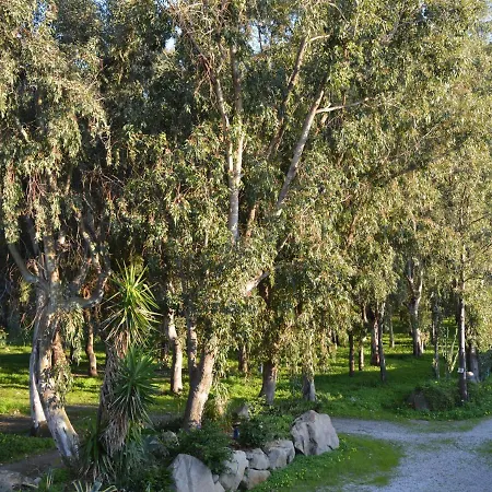 Campsite Batuca Village & Camping